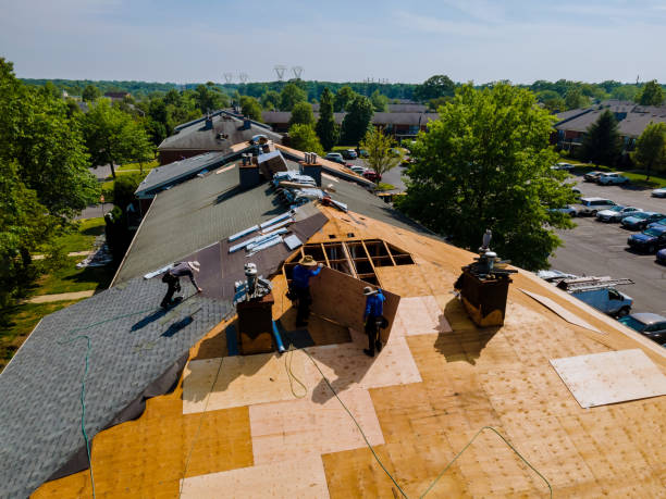 Trusted Storm Damage Roof Repair service in Oceanside, OR - Brentwood Metal Roofing